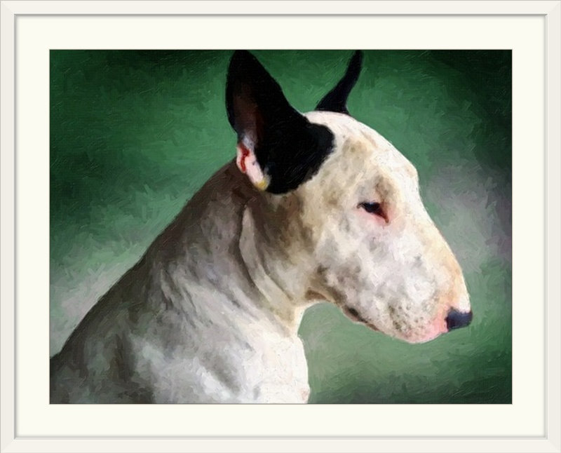 «Bull Terrier» par Francy, impression, H 27 po x l 36 po x P 1,5 po, Toile