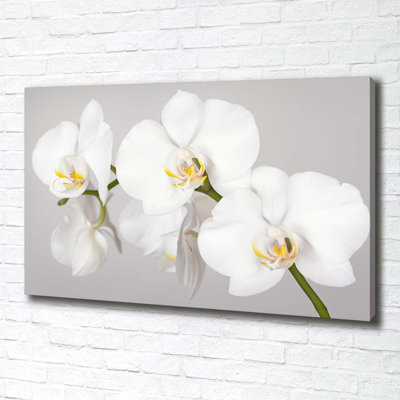 Orchid - Wrapped Canvas Print
