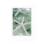 Seaglass 1 - Green-1169303235-1169303263