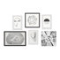 Hexaptych « radial forms »
