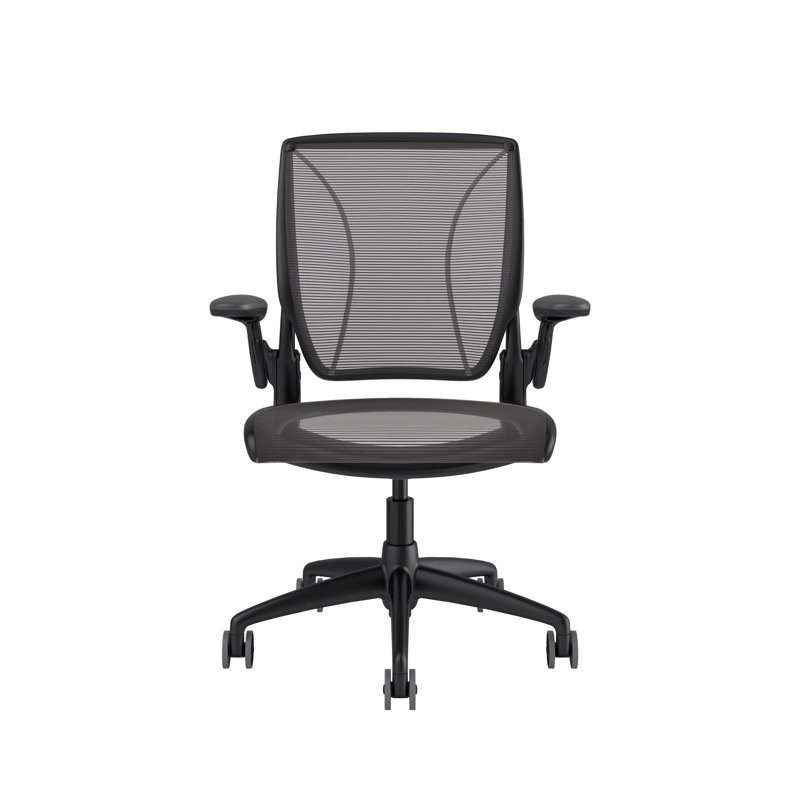 World Mesh Task Chair, Black, Adjustable, Black