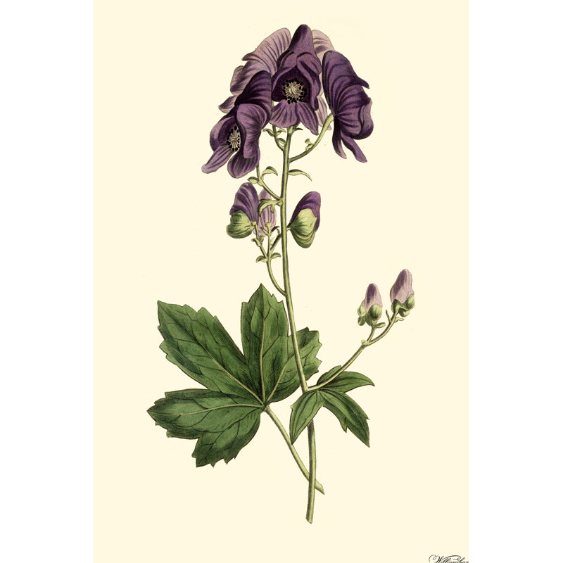 Lavande florale I, H 48 po x l 32 po x P 1,25 po