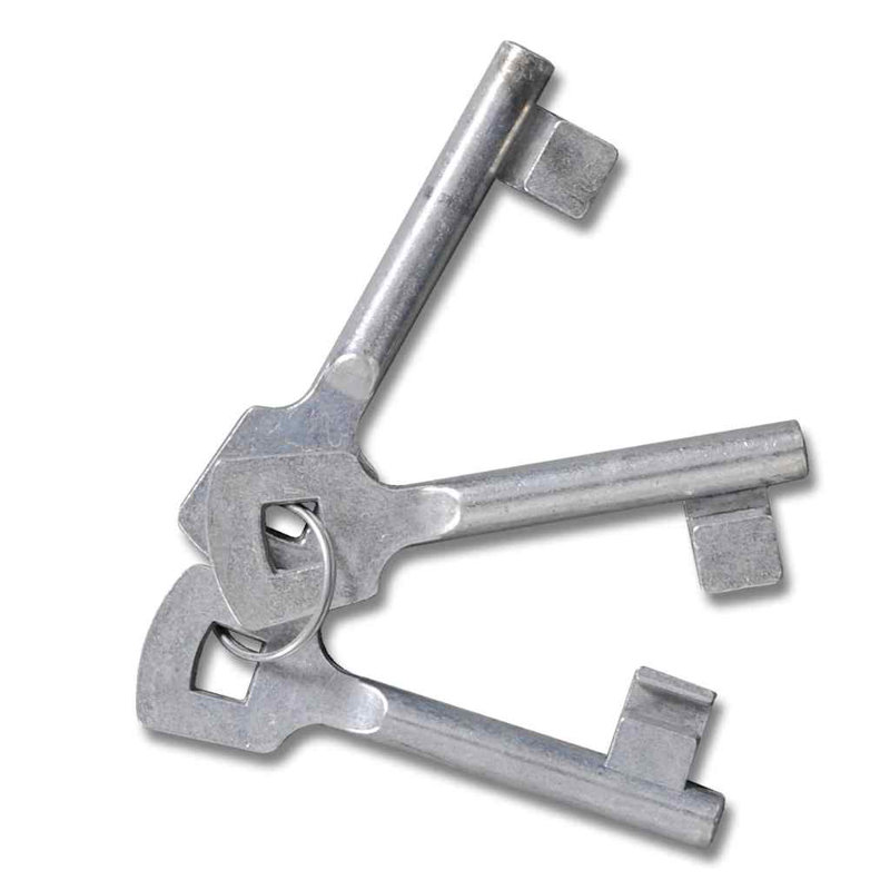 Portail grillagé vidaXL en acier galvanisé 118,1 x 39,4 po gris