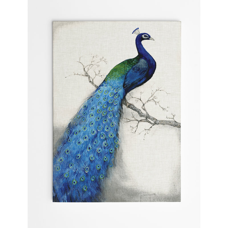 « peacock blue i » par tim o’toole, reproduction d’art sur toile tendue