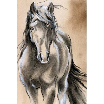 Cheval croquis II