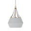 Soma 1 - Light Single Dome Pendant with Wood Accents