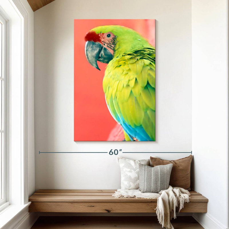 Brampt Green Macaw, 48" H x 32" W