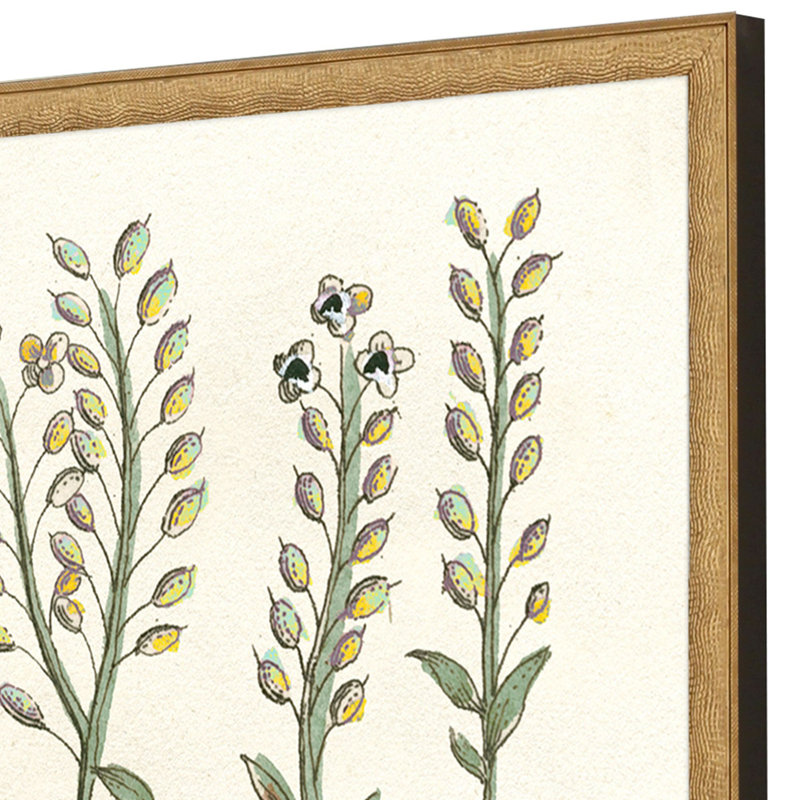 Botanical Plants II Set by Giclee Studio
