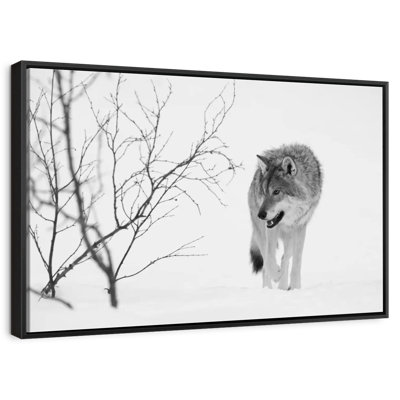 Chasse au loup d'hiver