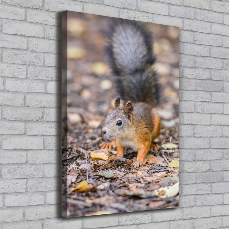 Squirrel In The Forest - Wrapped Canvas Print