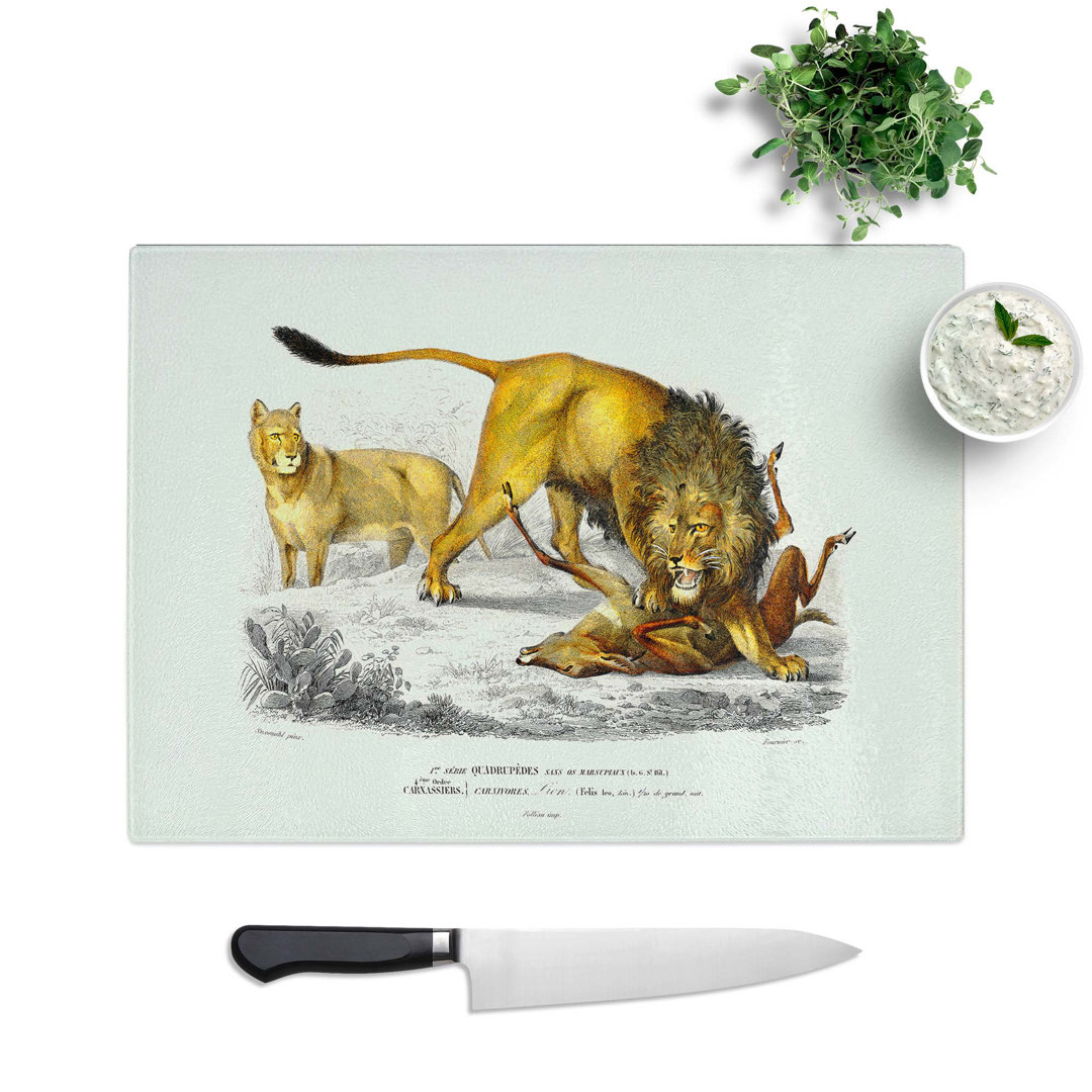 Glass Lion Illustration by Charles D' Orbigny Chopping Board