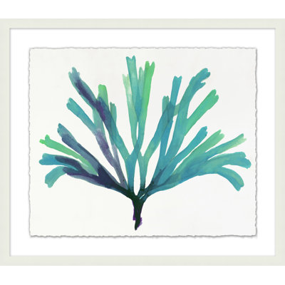 Transparaent Sea Life 1 Print