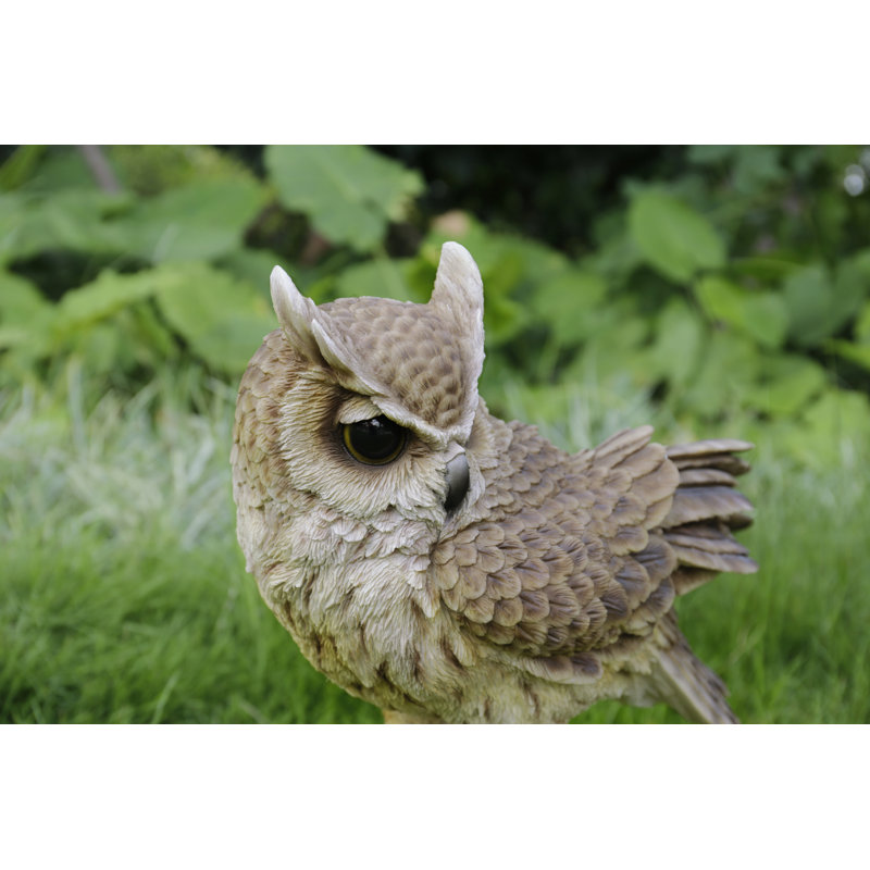 Large Brown Polyresin Long Eared Owl Statue