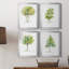 L'arbre I - ensemble de 4 reproductions d'art encadrées-1506622936-1506622935-1496819695