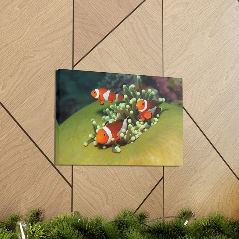 No Frame Print on Canvas, 27.94cm H x 35.56cm W