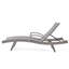 Chaise longue en gris - Option de détente extérieure polyvalente avec fauteuil de patio confortable