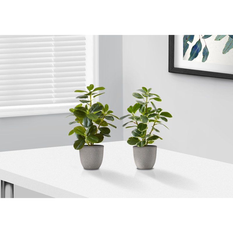Plante artificielle, Gris