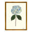 Pressed Hydrangea Print by Sandy Whitaker-293514766