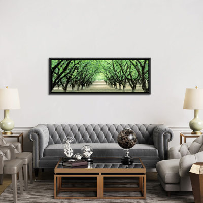 " Hazel Nut Orchard, Dayton, Oregon, USA " by Panoramic Images