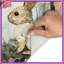 Tapis de bain Collage-340549534
