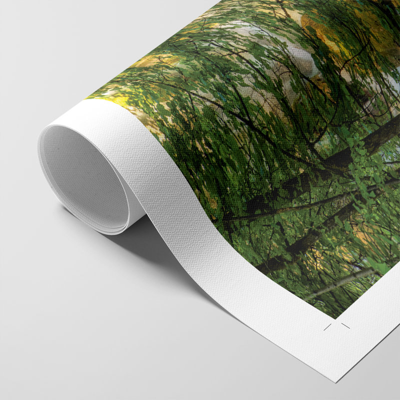 La Cascade -Canvas Print Only - NOT FRAMED