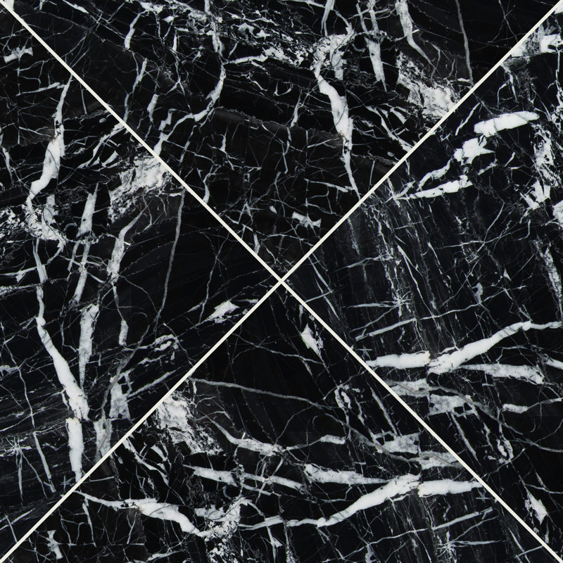 Imperial Ink 12 in. x 12 in. Polished Marble Floor and Wall Tile
