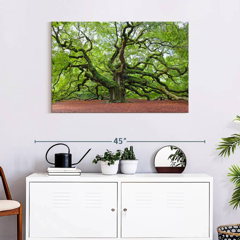 Harnek Lush Oak Tree, 24" H x 36" W