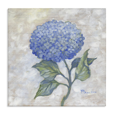 Traditional Blue Hydrangea Bloom Canvas, design by Paul Brent