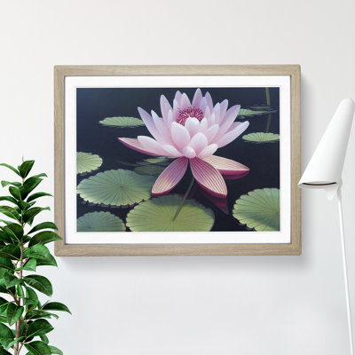 Soulful Water Lily Flower - Framed Print