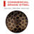 Shutter/Door Accessory-87081816