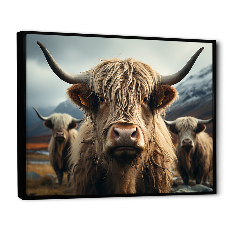 Majestic Highlands Yaks sur toile, H 30 po x l 40 po x P 1,5 po, Cadre flottant noir