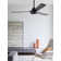 122cm 3 - Blade Ceiling Fan with Wall Control