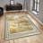 Luxurious Non-Slip Woven Carpet, 100% Velvet Fabric, 31.5 x 47.2 inches | Antibacterial, 13.5 mm Total Height, Machine Washable | Ideal for Living Room, Bedroom & Home Decor, Soft & Durable Design-2027735979