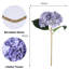 Hortensia Laidley-884635533