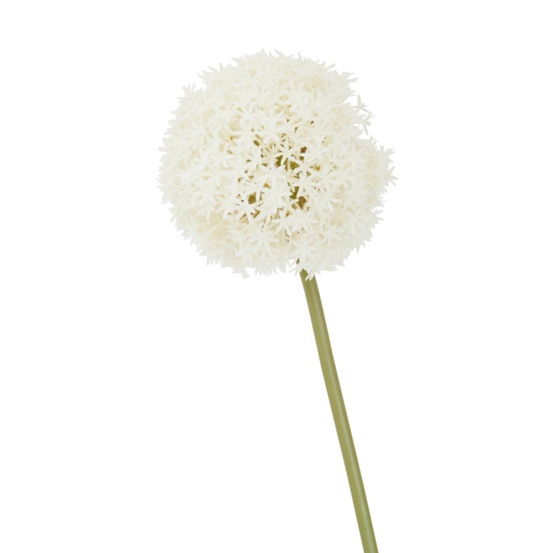 Fiori Allium Arrangement