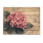 Simple hortensia rose dans un jardin monochrome II - art mural en bois d'hortensia - sur bois de pin naturel-1893906121