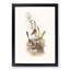 Crowned Wrens by Elizabeth Gould - Framed Print-55490267-55490262