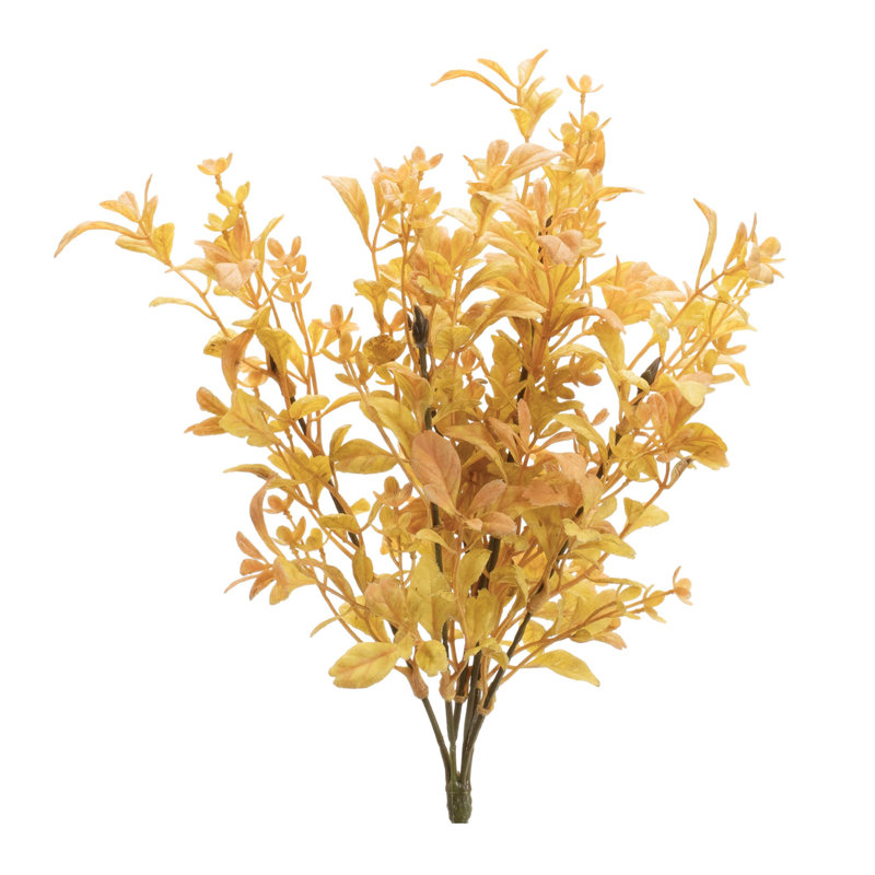 Mixed Fall Foliage Bush