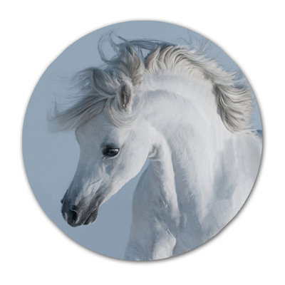 Stallion Print