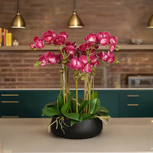 Orchid Arrangement in Vase