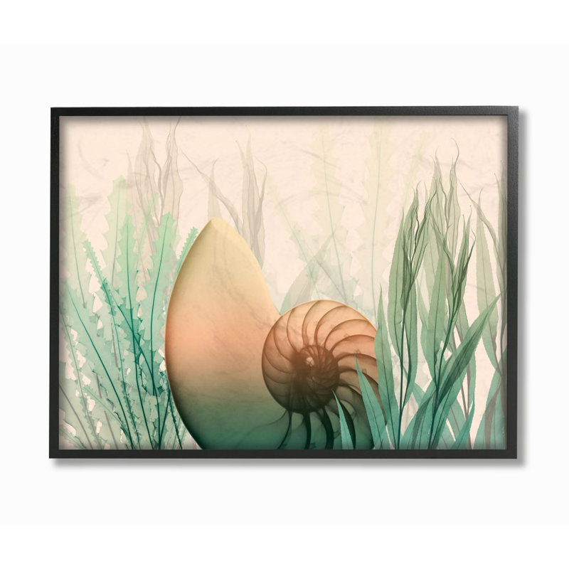 « ocean coquillage algues design » par albert koetsier,-impression sur image, H 24 po x l 30 po x P 1,5 po