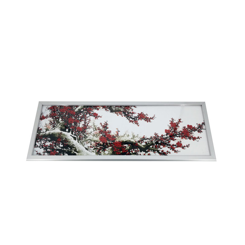 40 x 13.5" Panoramic Picture Frame, Wall-Mounting, 1-inch Profile - Silver, with Graphics