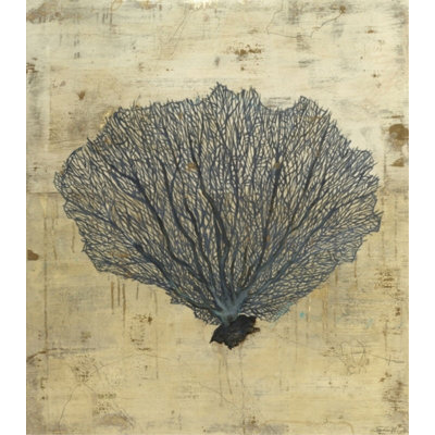 Sea Fan Print by Sarah Atkinson