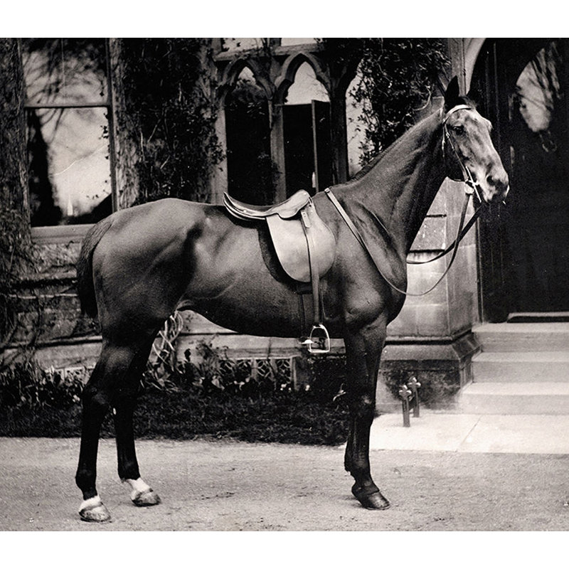 The Victorian Horse Print by Sofia Fox, Outdoor, 24" H x 36" W x 1.5" D