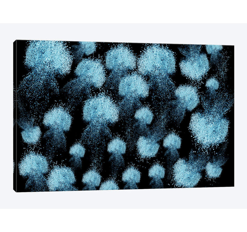 «Medusas de Arena», reproduction sur toile, H 26 po x l 40 po x P 1,5 po, Toile tendue, Pas de tapis