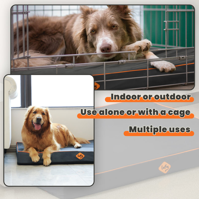 Polyester Pet Bed, 3" H x 36" W x 27" D