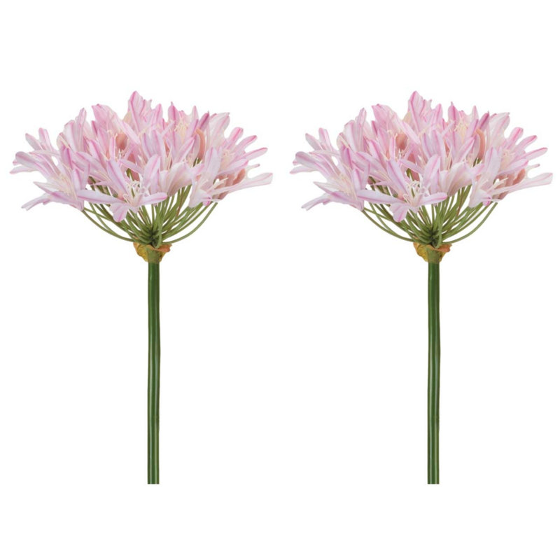 Tige de fleur Agapanthus (ensemble de 2), Rose, blanc, jaune