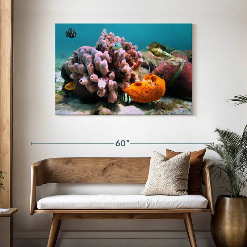 Éponge de mer rose Brampt, H 30 po x l 45 po