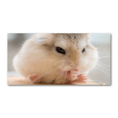 Hamster - No Frame Print on Canvas