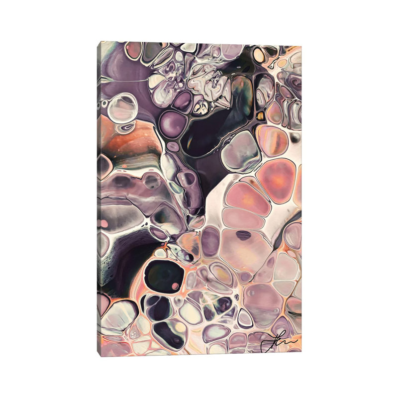 Ammonite Dream II by Angelika Parker - Wrapped Canvas Print, 66.04 cm H x 45.72 cm W
